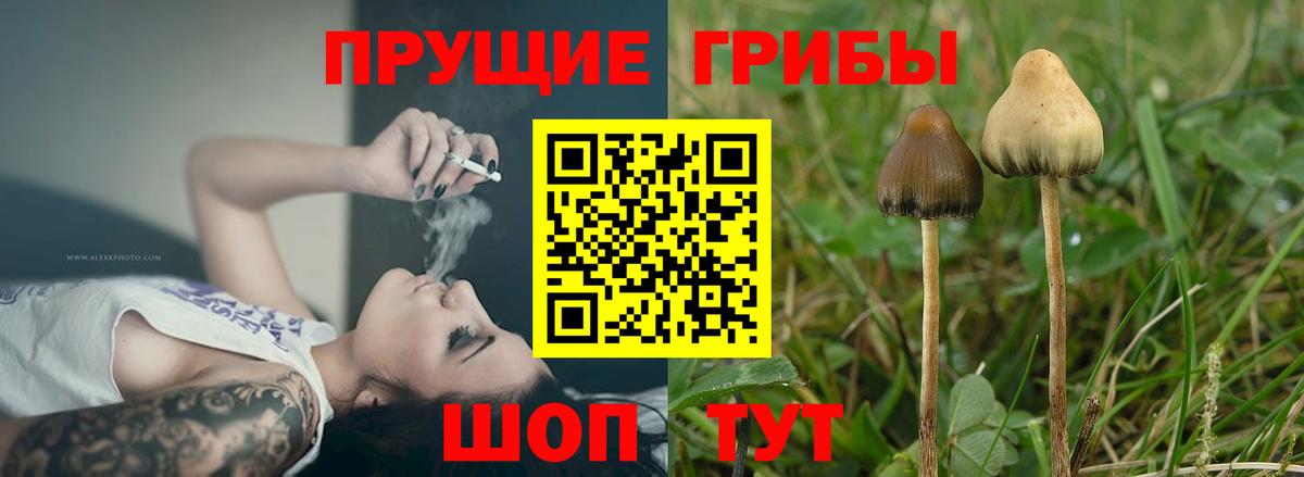 Галлюциногенные грибы мицелий  Вход с VPN  Псилоцибиновые грибы MAGIC MUSHROOMS  Туймазы 